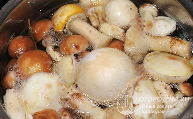 Простой способ бланшировать грибы – сложить их в дуршлаг и погрузить в широкую кастрюлю с кипящей водой