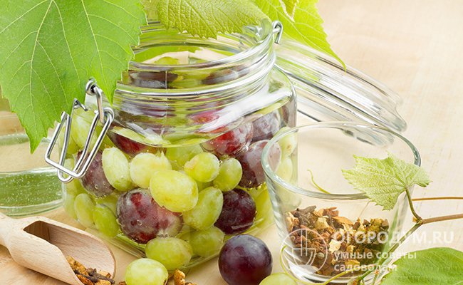Консервированный виноград приобретает интересные оттенки вкусов и ароматов благодаря различным специям и пряностям