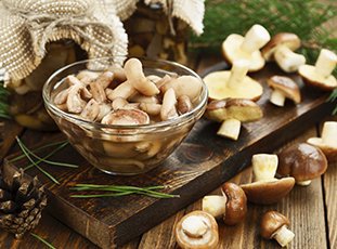 Как солить маслята в домашних условиях: рецепты, подготовка грибов