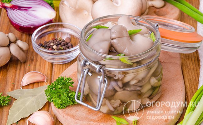 Данные грибы не обладают собственным ярко-выраженным вкусом и ароматом, поэтому в заготовки обязательно добавляют пряные и/или острые ингредиенты