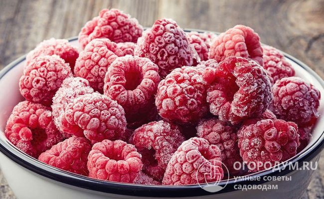 Замороженные должным образом ягоды отлично сохраняют вкус, аромат и форму