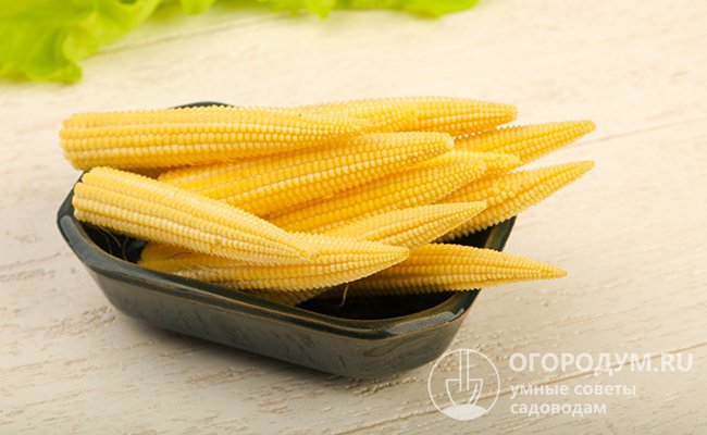 мини кукуруза или «бэби корн» (baby corn). Она считается наиболее полезной, так как практически не содержит крахмала