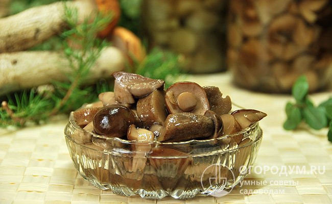 Маринованные грибы обабки – вкусная и сытная закуска, настоящий лесной деликатес, который порадует любого гурмана