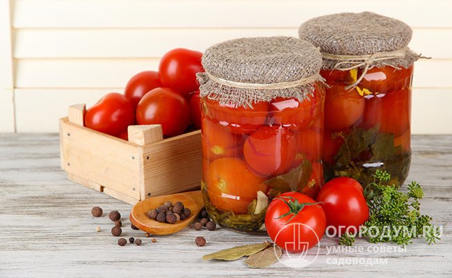 Маринованные томаты хороши как в качестве самостоятельной закуски, так и в составе различных супов, борщей и рагу. Их можно использовать для приготовления запеканок, пирогов и пиццы