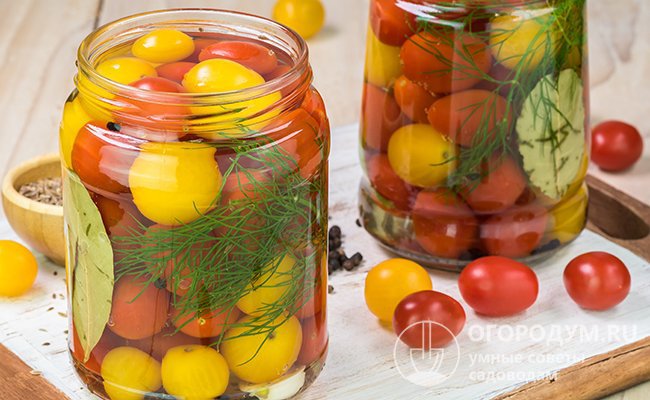 Заготовки получаются особенно красивыми, праздничными и аппетитными, если использовать помидоры разных цветов