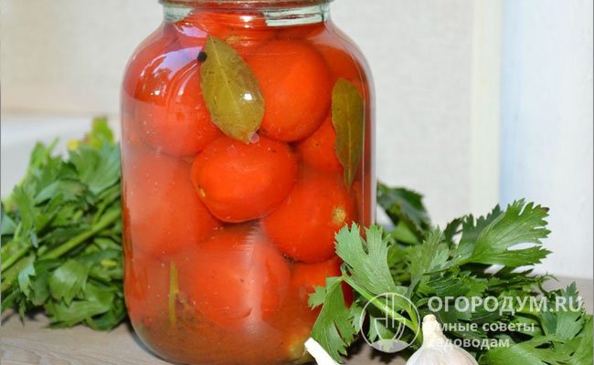 Маринованные томаты с аджикой