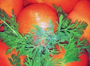 Помидоры с морковной ботвой: рецепты на зиму