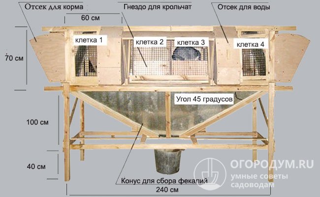 Чертеж клетки для кроликов одного из распространенных типов конструкции Михайлова