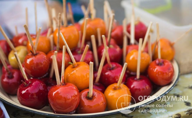 Засахаренные яблочки служат вкусным декором при оформлении различных десертных блюд