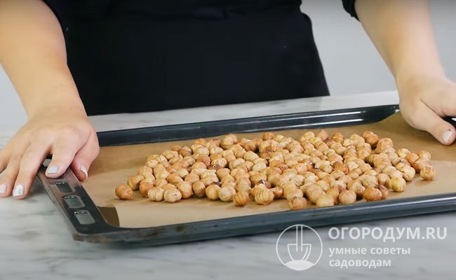 Как правильно сушить лесной орех в скорлупе дома: лучшие рецепты и полезные советы