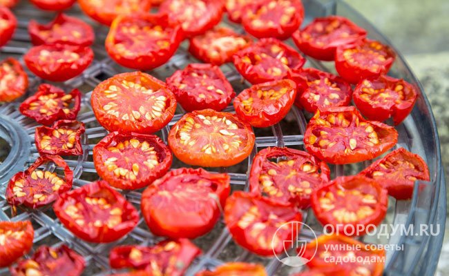 Как вялить томаты в электросушилке - рецепт с пошаговыми фото | Меню недели