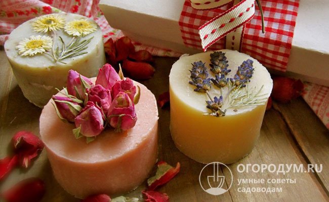 Мастера мыло- и свечеварения используют засушенные цветы для украшения изделий, а также в качестве лекарственных и ароматических компонентов