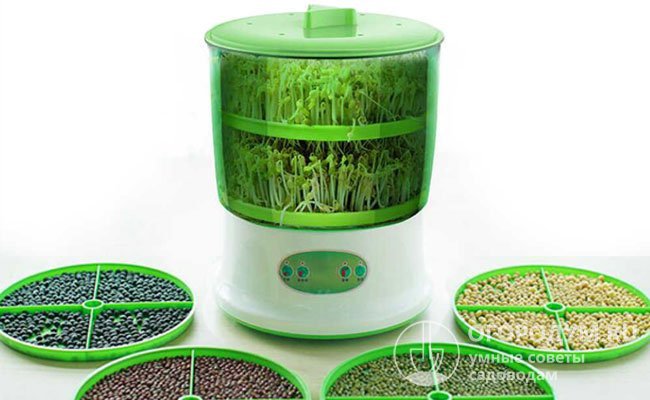Автоматический термостат для проращивания семян