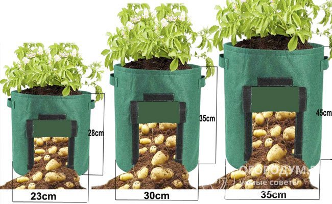 Садовый мешок для выращивания корнеплодных овощей