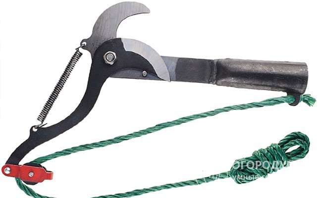 Выдвижные садовые ножницы с веревкой для обрезки плодовых деревьев