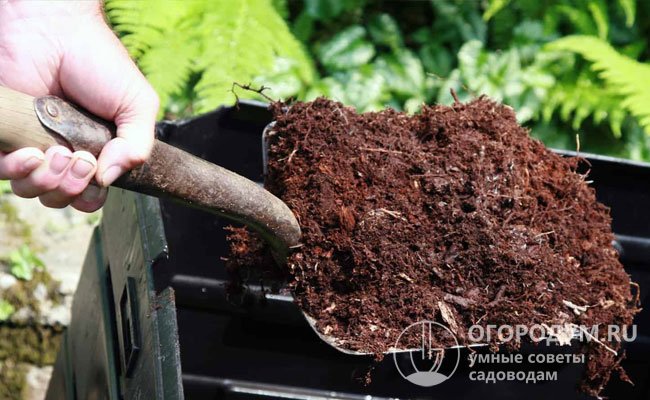 Для пополнения запаса азота почву обогащают органикой: перегноем, перепревшим навозом, птичьим пометом, смешанным с компостом