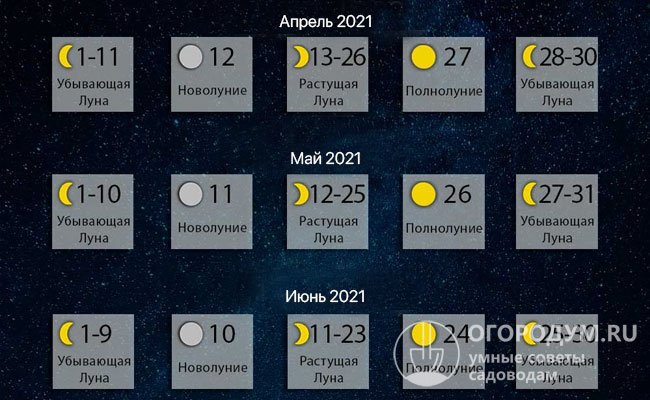 Фазы Луны на апрель – июнь 2021 года