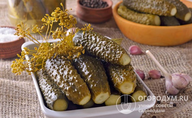 Соленые и маринованные огурцы – традиционная закуска, пользующаяся неизменным спросом в зимний период
