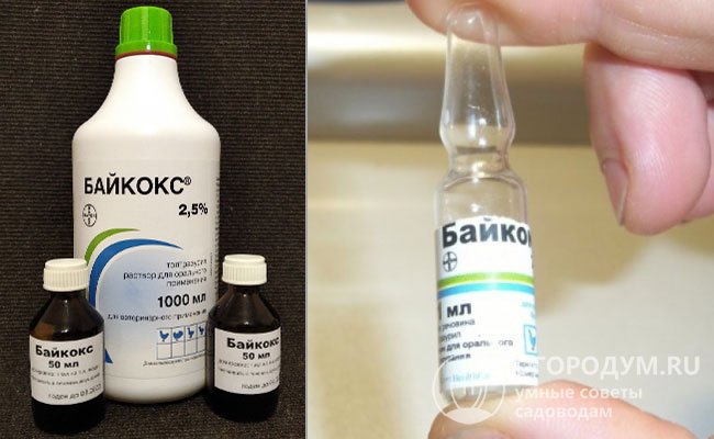 «Байкокс» выпускается в емкостях разных объемов (от 1 мл до 1 л) в форме раствора с содержанием активного вещества 2,5% для птицы и 5% для животных