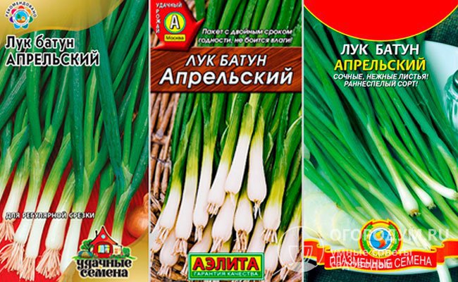 На фото – семена лука-батуна сорта «Апрельский» в упаковках различных производителей