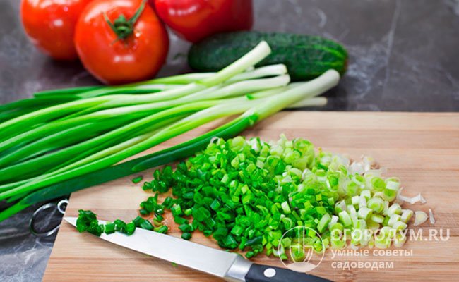 Свежий зеленый лук-батун прекрасно подходит для приготовления салатов, может служить легким гарниром к мясным и рыбным блюдам
