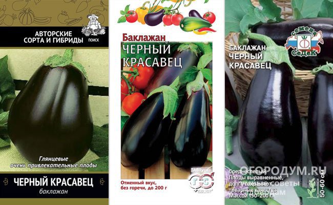 Помимо оригинатора («Поиск» – слева на фото), семена предлагают многие отечественные агрофирмы-производители