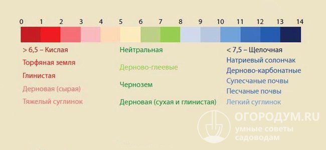 Шкала уровня кислотности, характерного для разных типов почв