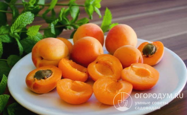 Спелые плоды обладают характерными признаками: насыщенный «абрикосовый» цвет и «бархатная» шкурка
