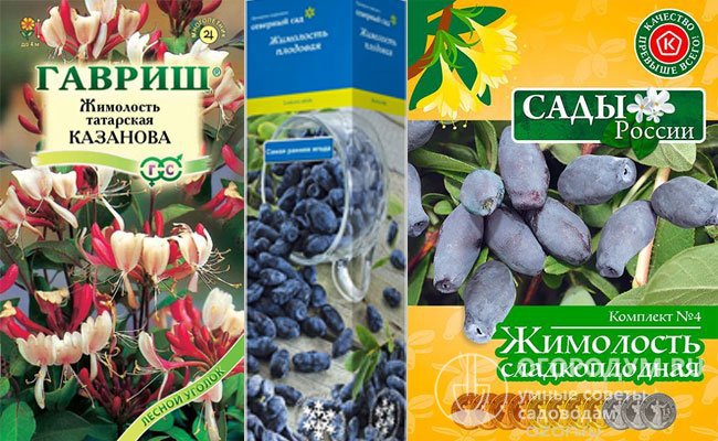 Посадочный материал (семена, саженцы) ягодных и декоративных сортов предлагают различные отечественные производители – питомники и агрофирмы