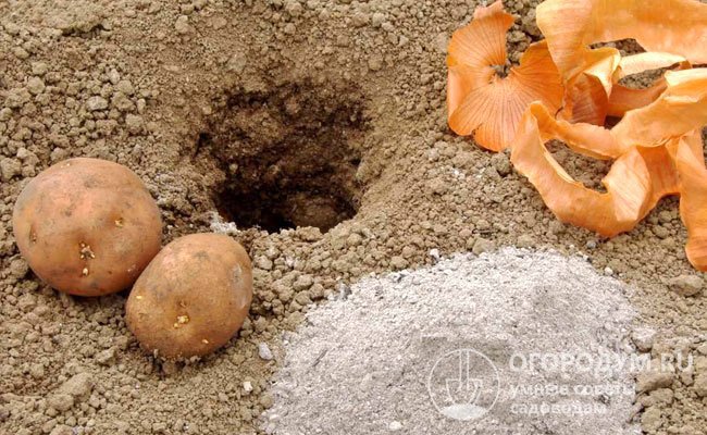 Удобрения для картофеля при посадке в лунку весной для увеличения урожая:названия, отзывы