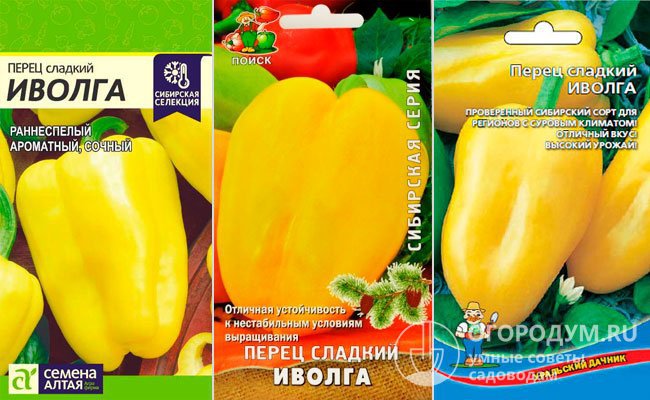 Семена в упаковках различных производителей, позиционирующих сорт как максимально приспособленный для суровых условий Урала и Сибири