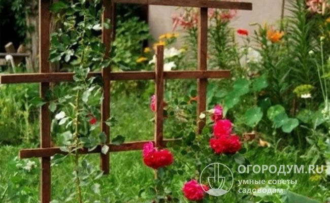 Опора для плетистой розы своими руками (фото и видео)