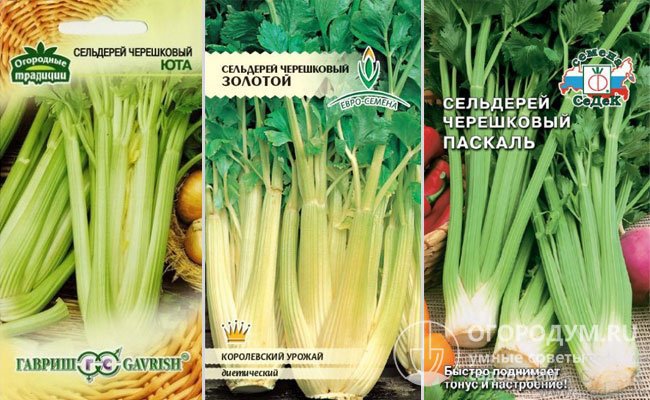 Информацию о продолжительности вегетационного периода производители обычно указывают на упаковках с семенами