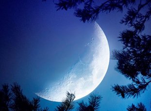 Лунный посевной календарь на январь 2022