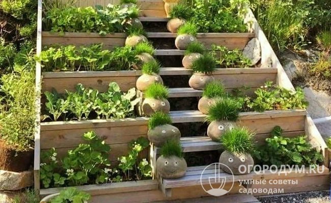 Грядка-лестница – идеальное решение для огорода с большим перепадом высот