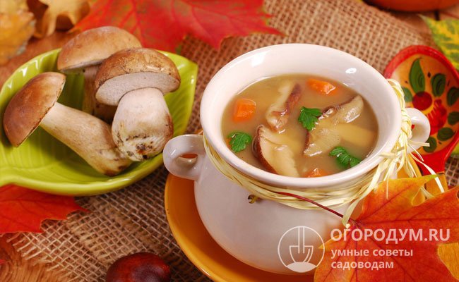 Суп из боровиков считается целебным, ведь отварной продукт отлично стимулирует секрецию пищеварительных соков