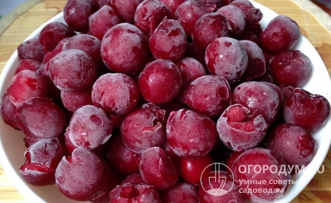 Заморозка считается наиболее простым и надежным способом сохранить полезные свойства и вкусовые качества ягод