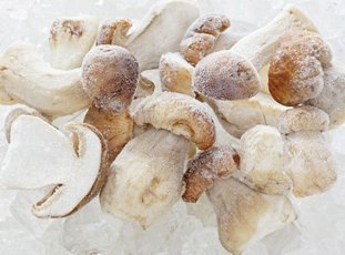 Как заморозить грибы