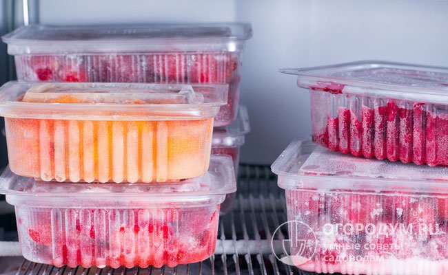 Порционная заморозка – наиболее удобный и практичный способ сохранения продуктов