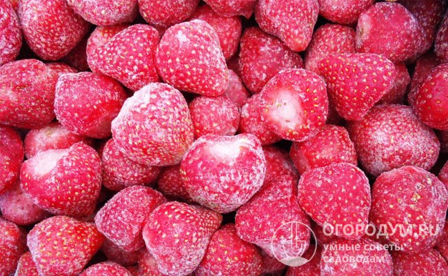 Оптимальными для заморозки считаются ягоды средних размеров, имеющие достаточно плотную мякоть