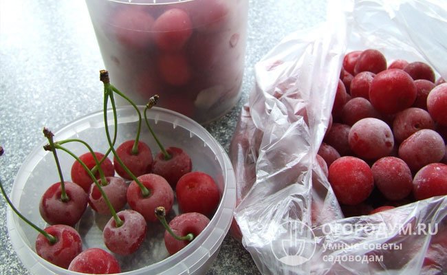 Заморозьте часть ягод вместе с плодоножками – так вишня лучше сохранит форму и подойдет для украшения кондитерских изделий и праздничных напитков