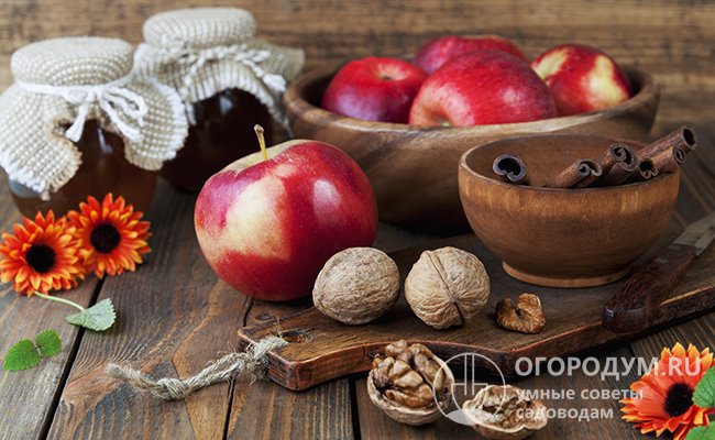 Варенье с яблоками и орехами – настоящая сокровищница витаминов, особенно необходимых в холодное время года