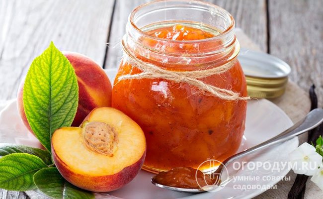 Самые популярные заготовки из персиков – варенье и компоты. Однако не менее вкусными получаются джемы, чатни, пюре, сиропы, цукаты и мармелад