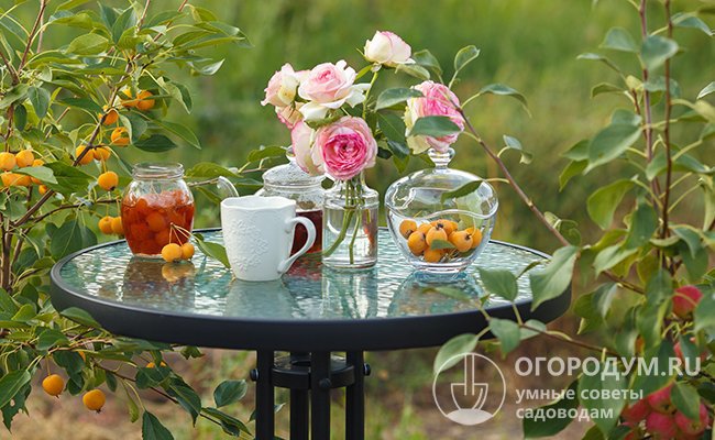 Варенье из ранеток поможет разнообразить домашние чаепития и наполнит летней бодростью в холодное время года
