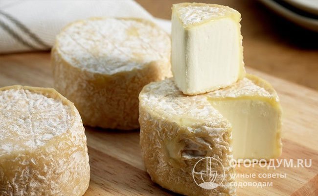 Кроттен – мягкий непрессованный козий сыр в форме головок небольшого размера с бело-сливочной плесенью на морщинистой корочке