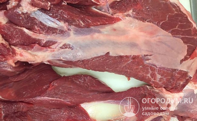 Убойный выход составляет 62-65%, мясная продукция имеет ярко-красный оттенок без синих или фиолетовых прожилок