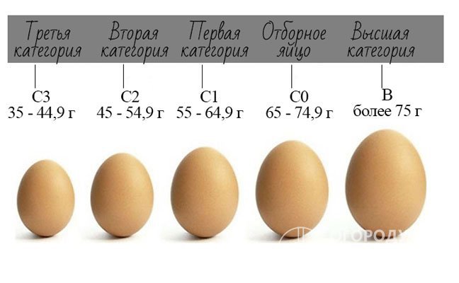 В зависимости от веса, куриные яйца подразделяют на категории, что напрямую отражается на их стоимости