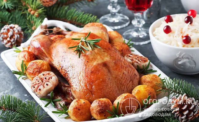 Спрос на гусиное мясо есть всегда, но особенно он вырастает к Рождеству, так как многие соблюдают традицию запекать гуся в духовке на праздник