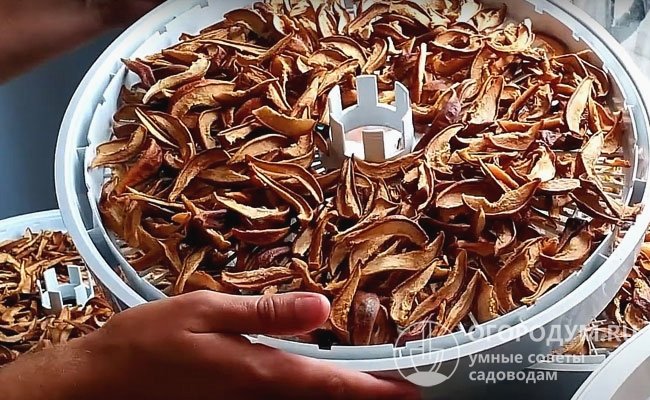 Сладкие малосочные груши лучше всего подходят для <a href=