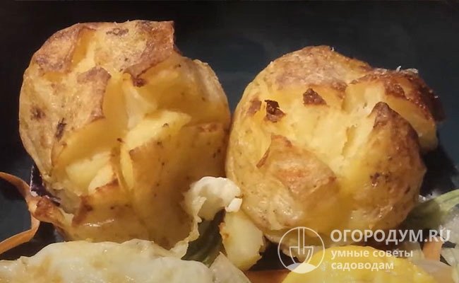 Позднеспелый картофель считают наиболее подходящим для запаса на зиму